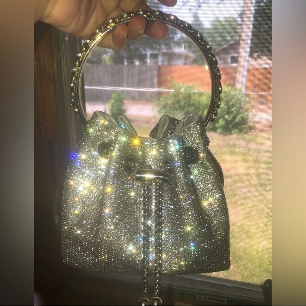 A sliver purse from akira